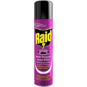 raid insecticide s/s 300ml