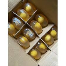 o carly egg soap 90g